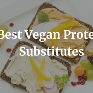 Best Vegan Protein Substitutes