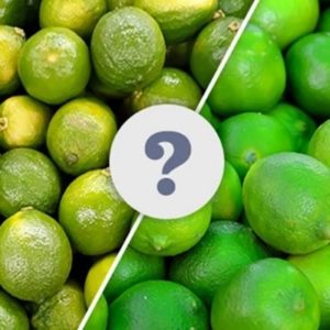Could there be a difference between Key Lime and Lime?