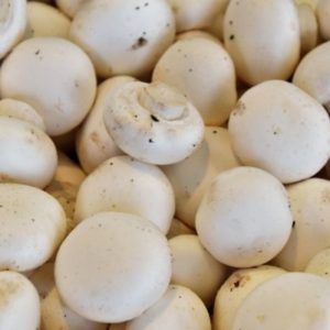 Are Mushrooms a Vegetable