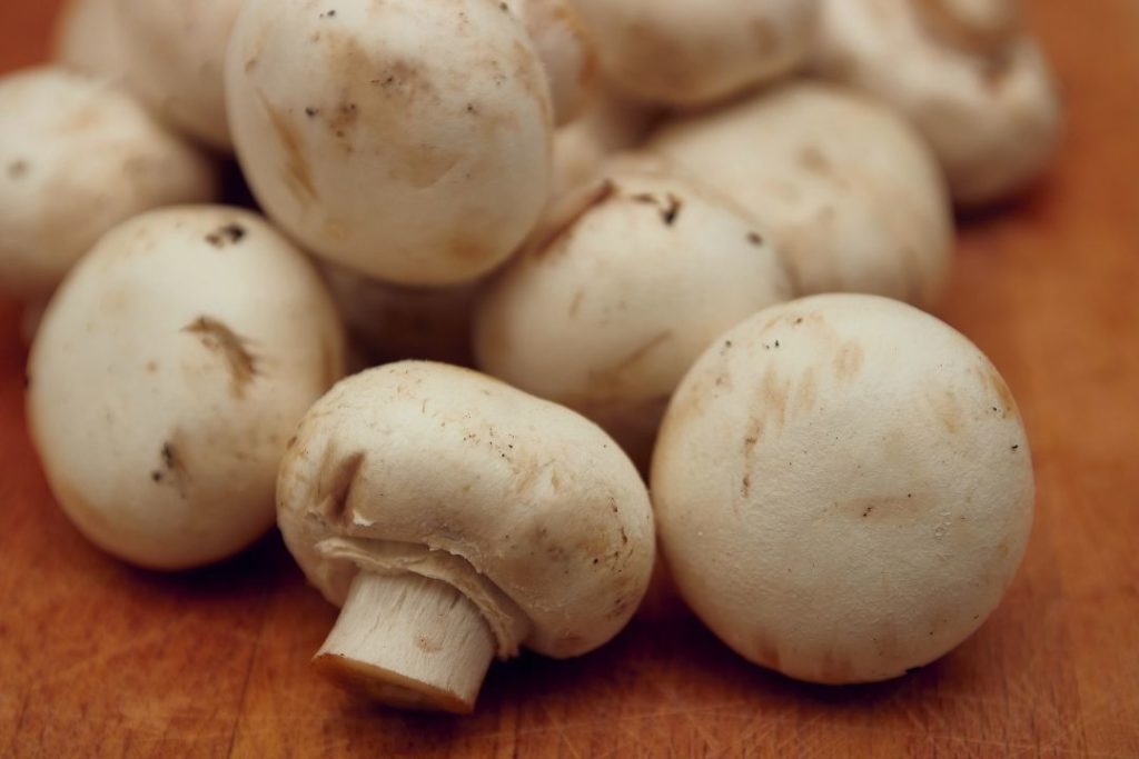 Are Mushrooms a Vegetable