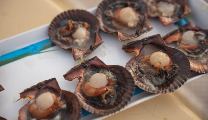 eating raw scallops safety