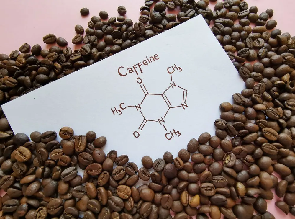 what foods have caffeine